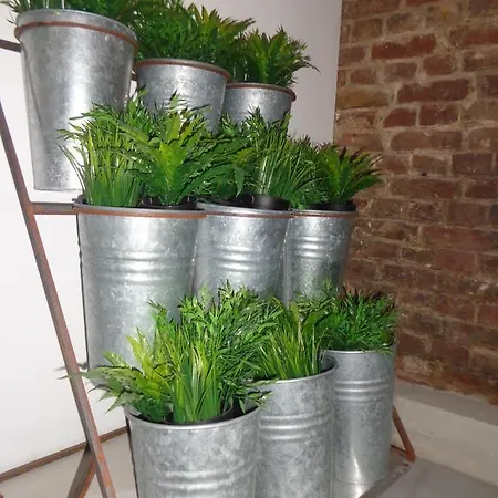 Хостел Minimal No 41