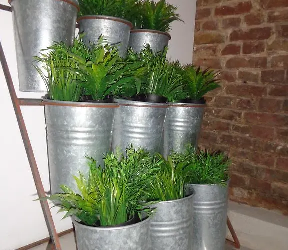 Vandrerhjem Minimal No 41